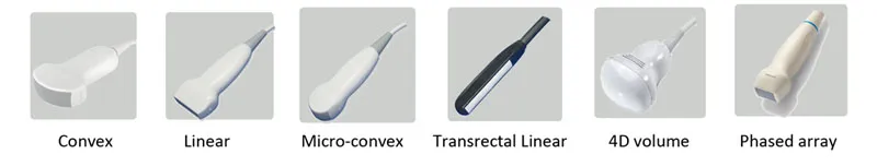 Digital Veterinary Ultrasound Color Doppler with Rechargeable Battery, Equine, Bovine, Canine, Feline, Canine, Ovine, etc