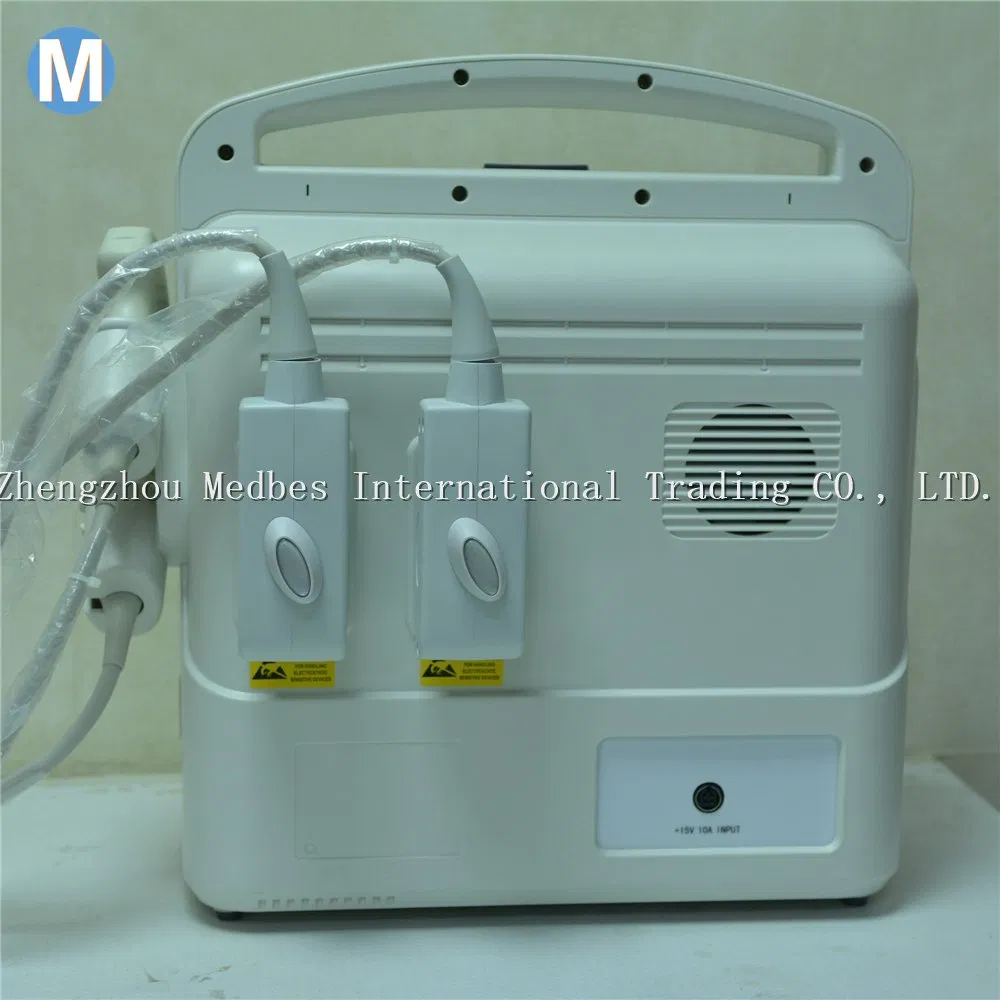Economical Digital Pregnancy Ultrasonic Ultrasound Scanner
