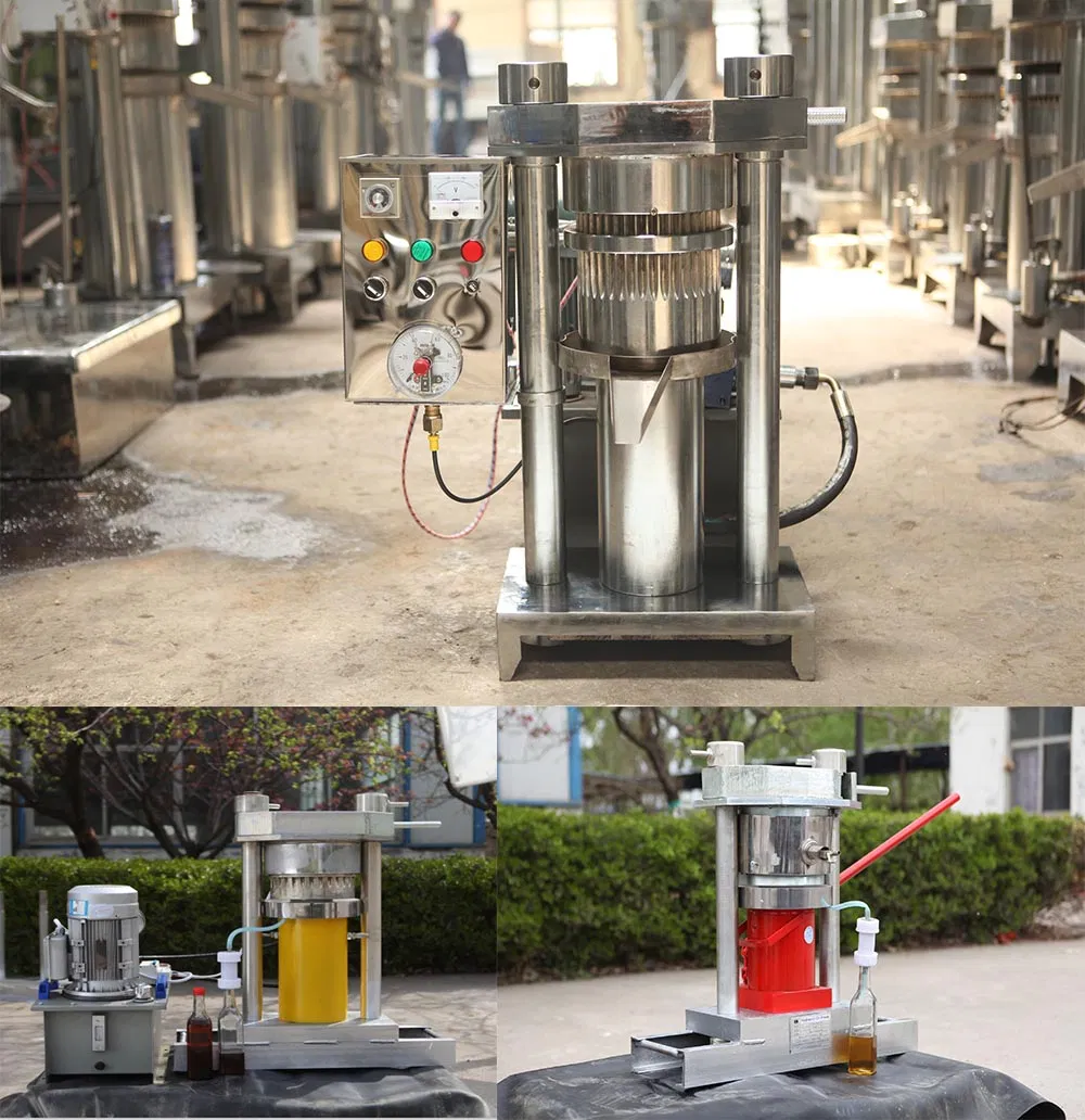 Energy-Saving Home Walnut Cacao Oil Mill Hydraulic Cocoa Sesame Oil Press Machine for Sale