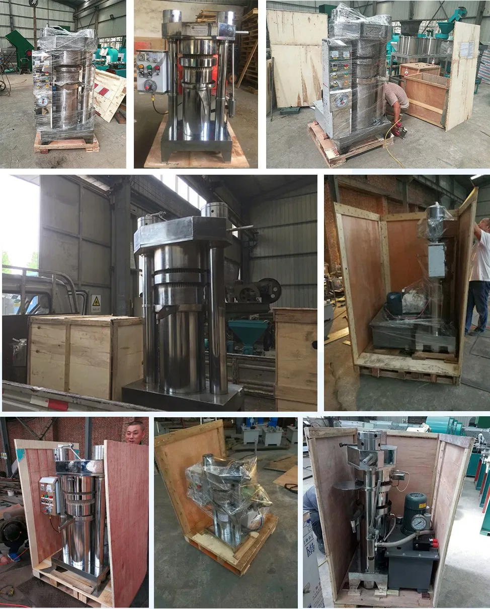 Energy-Saving Home Walnut Cacao Oil Mill Hydraulic Cocoa Sesame Oil Press Machine for Sale