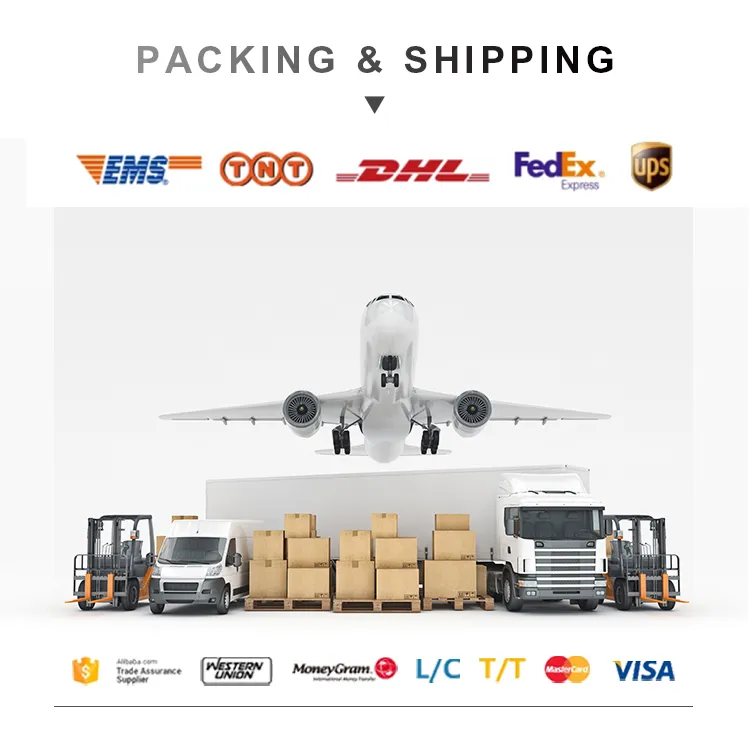 Fashion Matching Sale PC Frame Stripe Pattern Temple Reading Glasses with Glasses Pouch and Shield