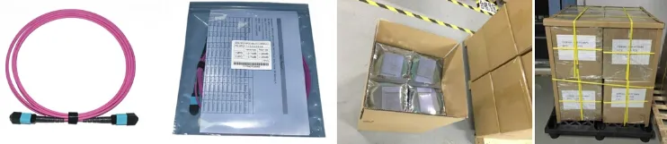 Fiber Optic Field Polarity/Pin Change MTP PRO Connector Cable