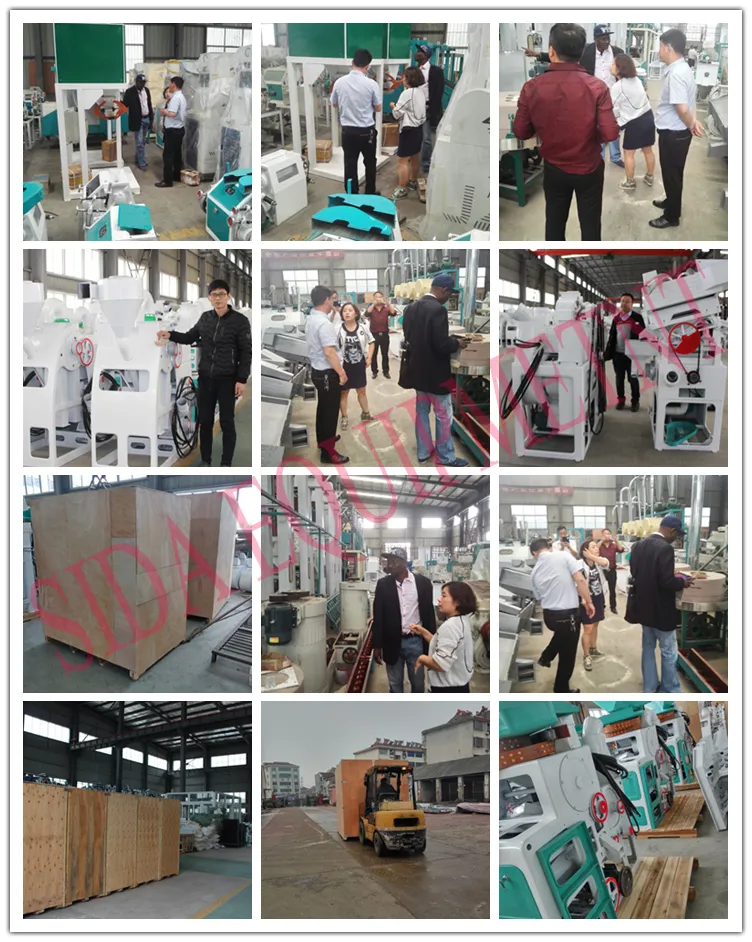 Fully Automatic 20 Ton Per Day Rice Mill Plant Machine in Zambia