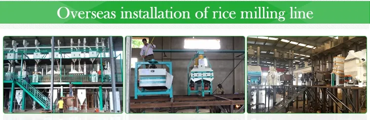 Fully Automatic 20 Ton Per Day Rice Mill Plant Machine in Zambia