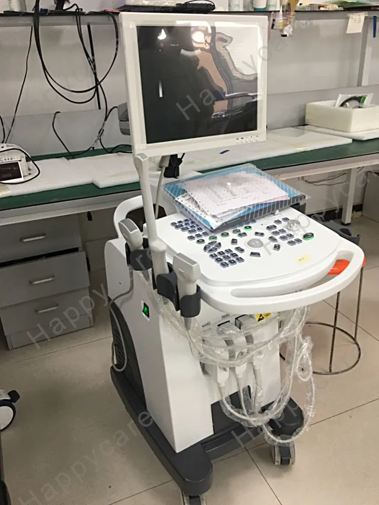 Hc-A010 Cheap Price Newest Version Full Digital B Ultrasound Trolley Scanner/Trolley Ultrasound Machine