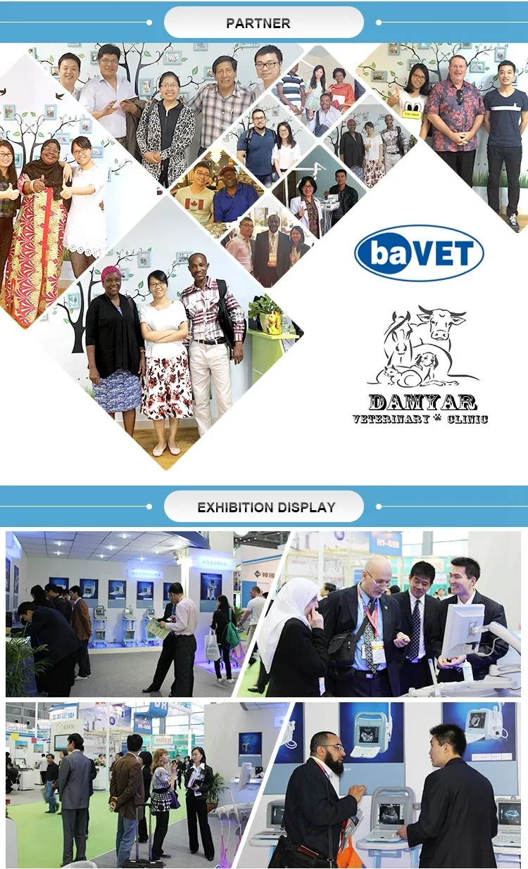 High Frequency Wireless Color Doppler Micro-Convex Ultrasound Probe Mslpu69