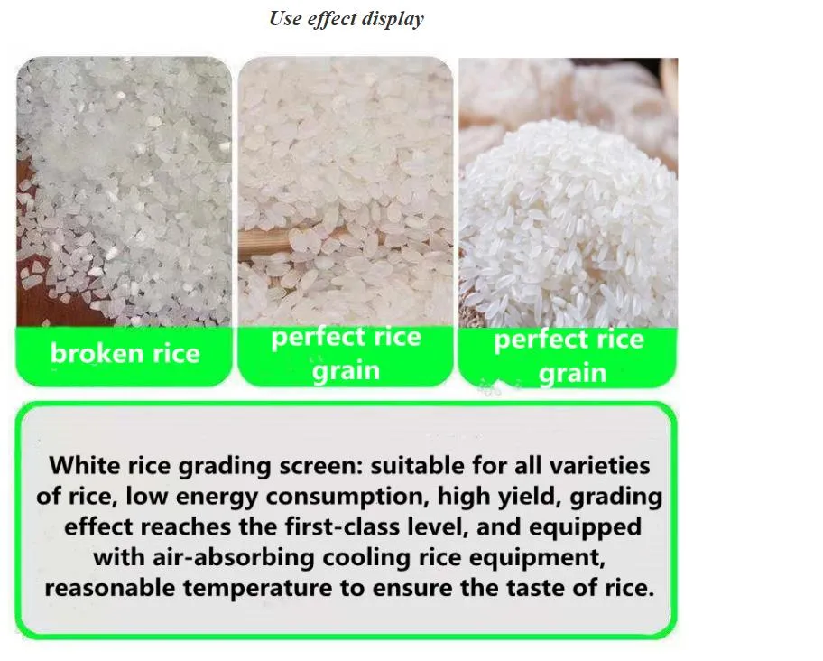High Quality Paddy Rice Processing Machine Rotary Sieve Grader Cheap Price Rotary Rice Grader