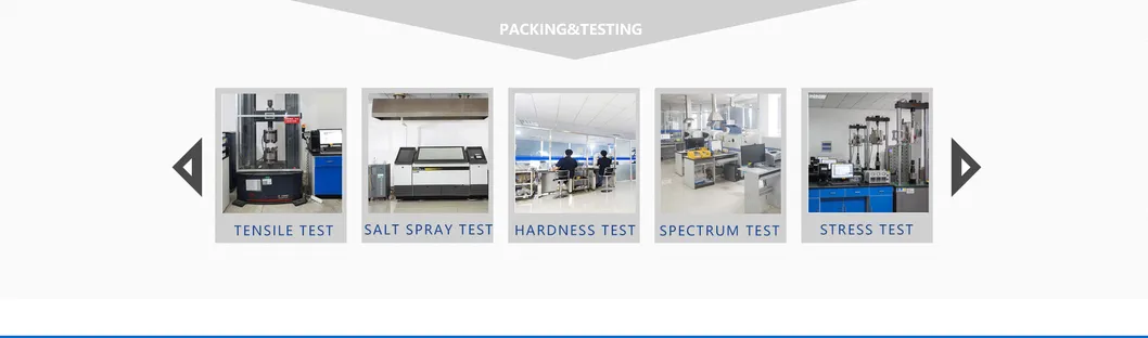 High Strength Torsional Shear Bolts of Carbon Steel, Class 10.9s, for Structural Construction
