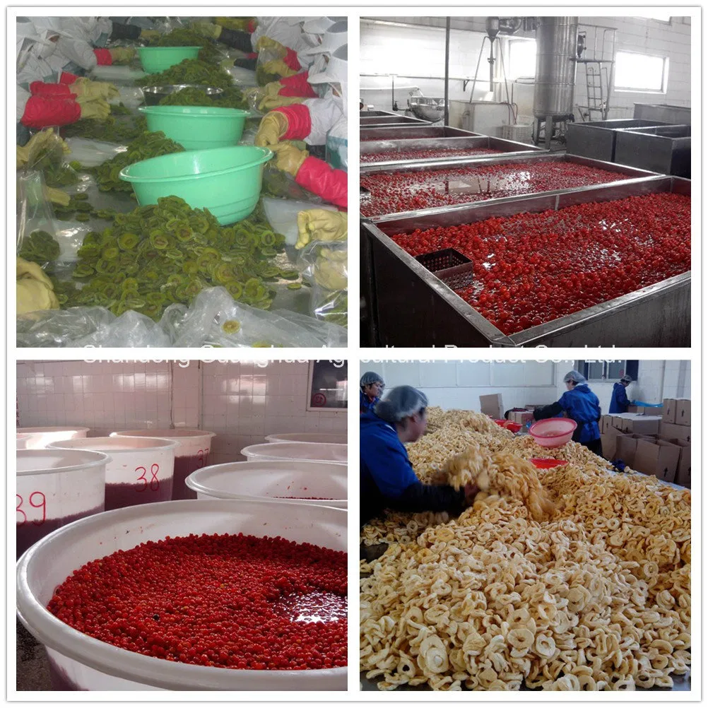 Dried Baby Orange with High Quality From China