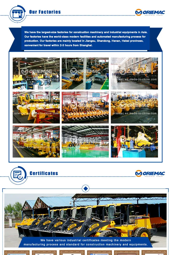 Hot Shacman Truck Algeria F2000 Camion Shacman 290HP