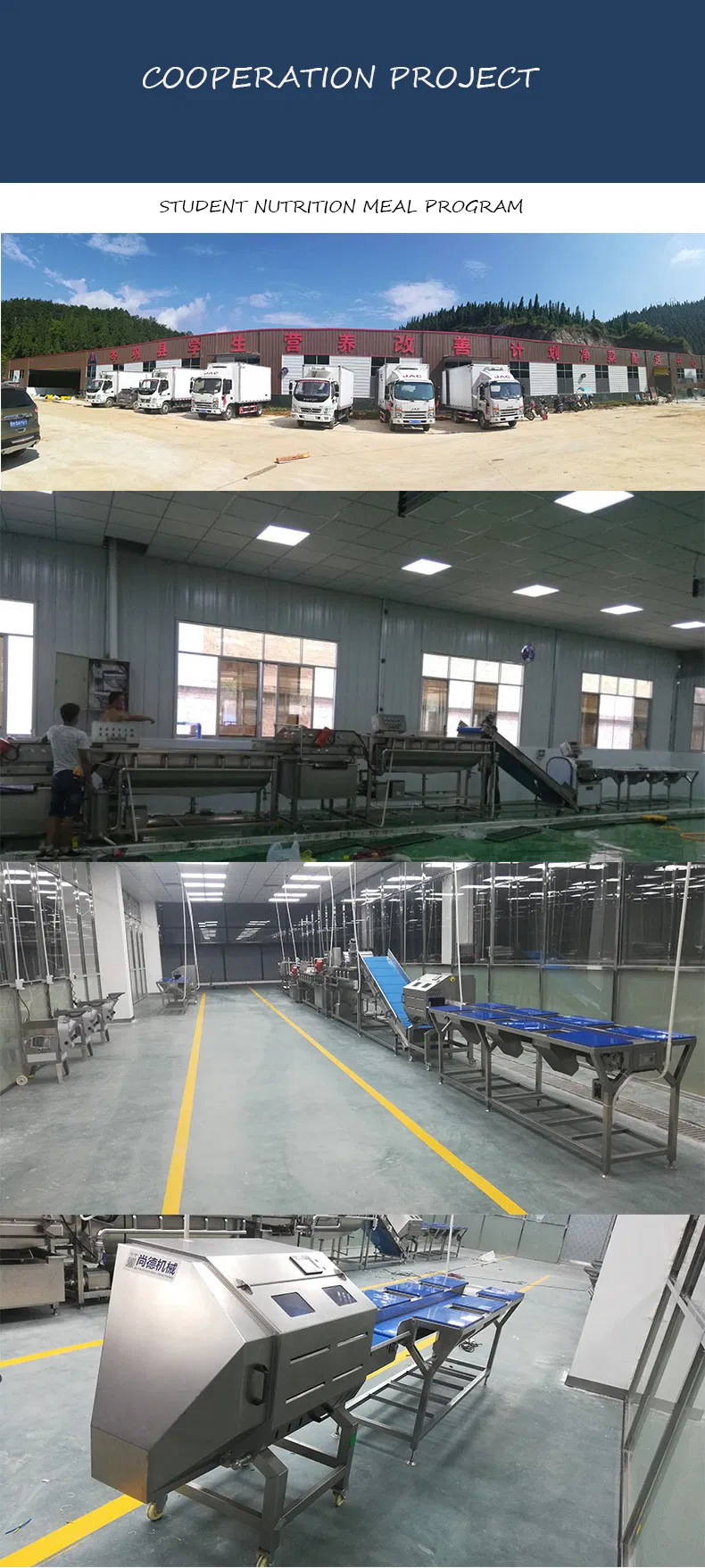 Lm201 Professional Beaf Meat Fish Lamb Cutting and Grinder Machine