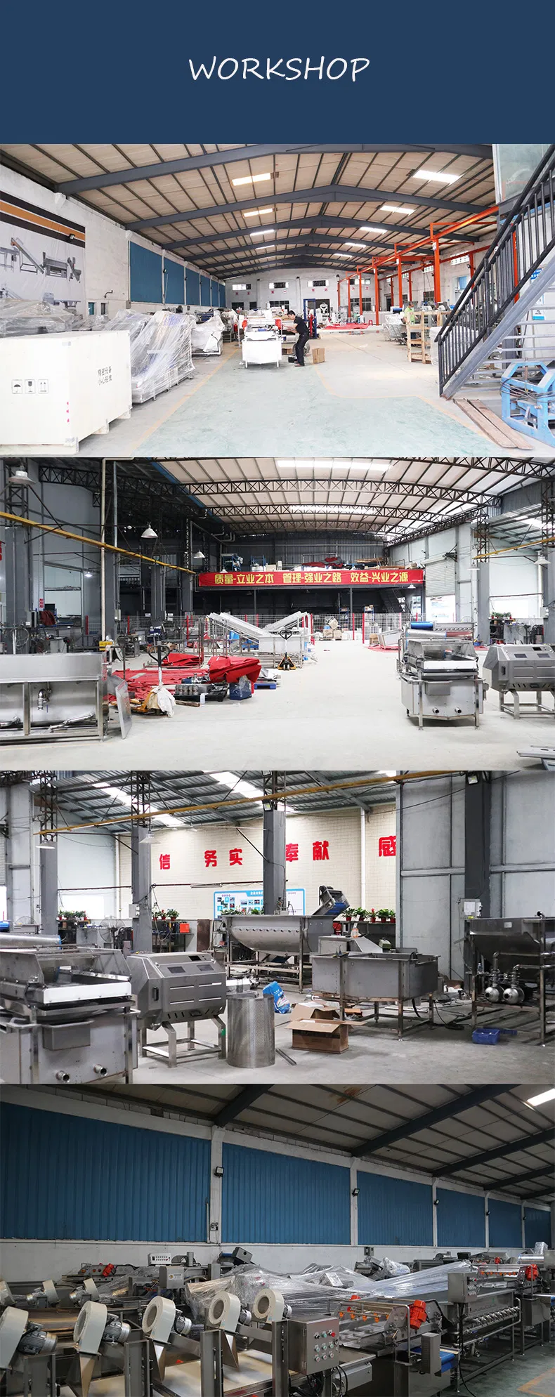 Lm201 Professional Beaf Meat Fish Lamb Cutting and Grinder Machine