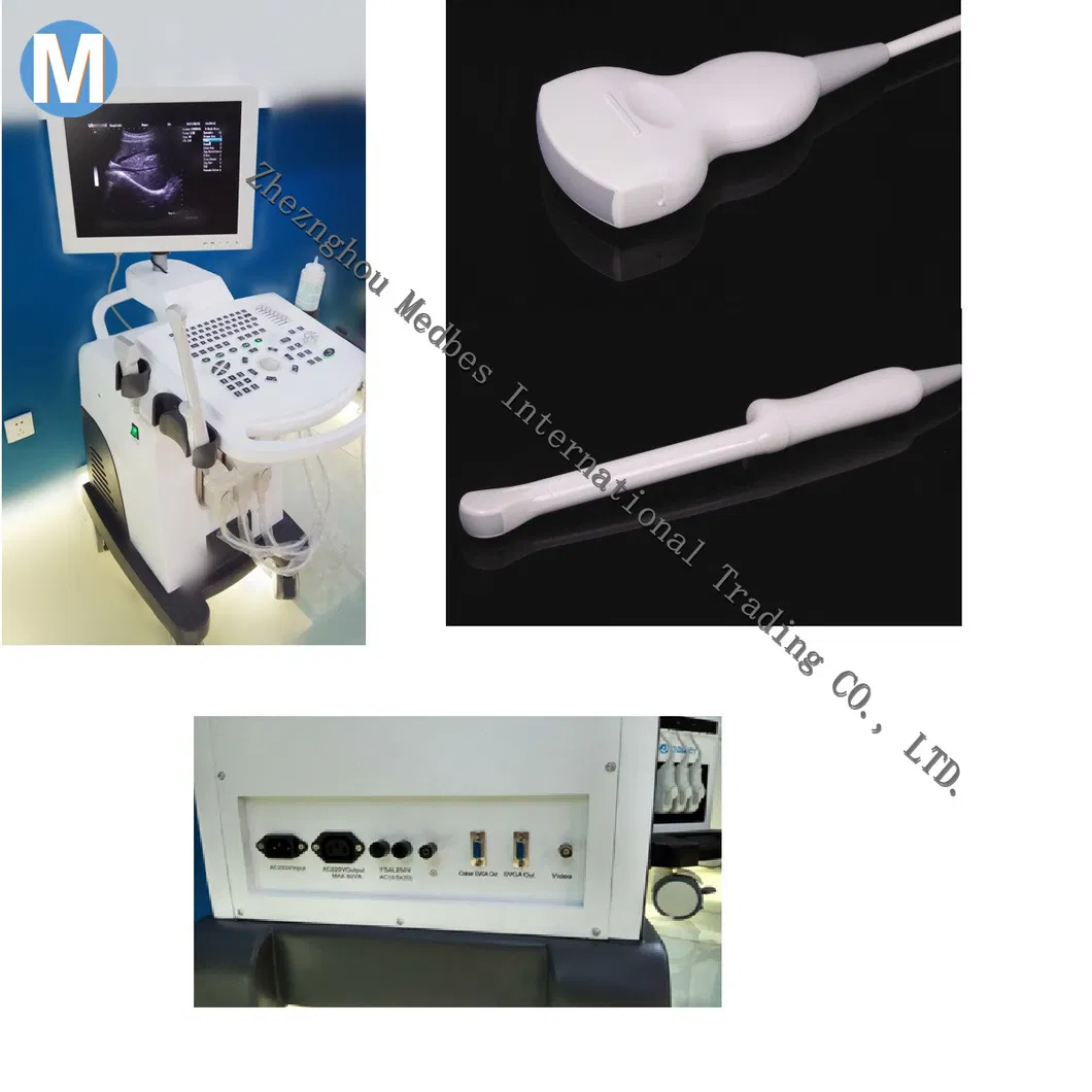 Movalbe Ultrasound Scanner Trolley Made in China