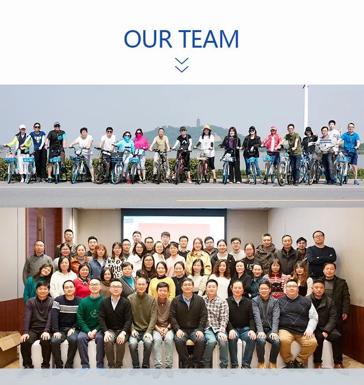 MSN Cheap Paint Brush Synthetic Filaments