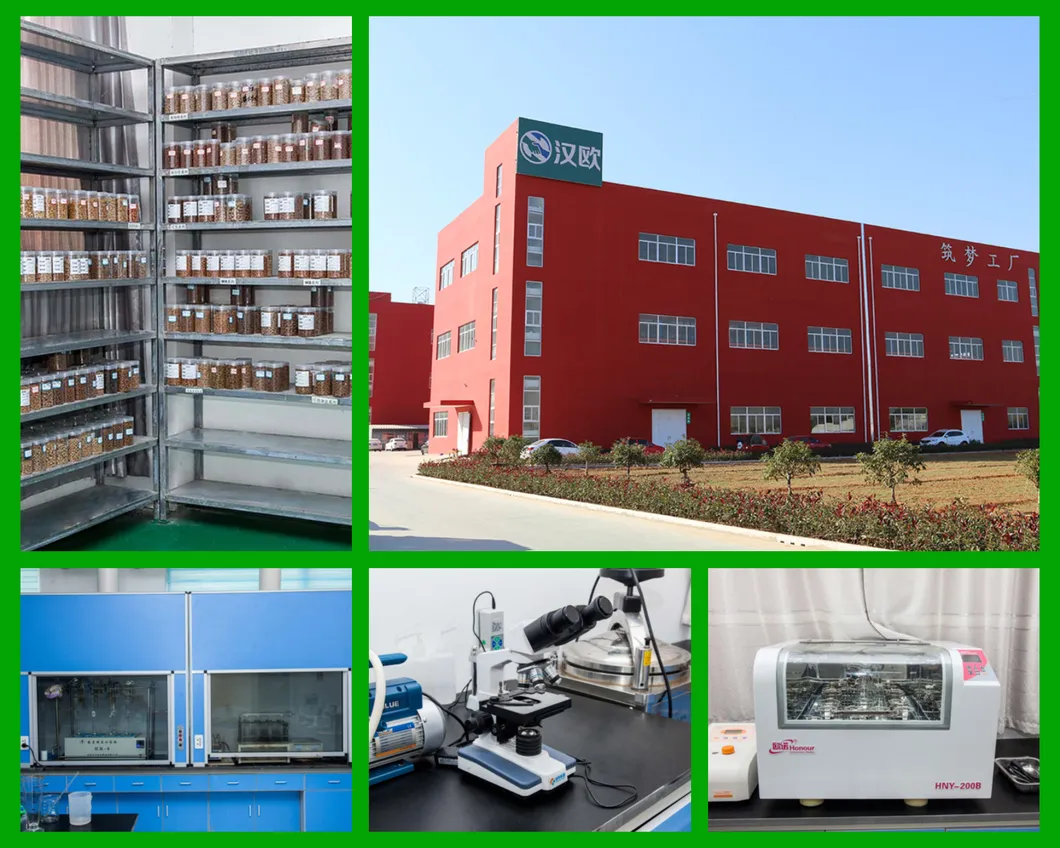 Natural Dry Cut Chicken Jerky Import Dog and Treats Food F