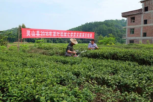 New Trends R3000 From Japanese Tea Garden Dual-Person Trimmer Sm110