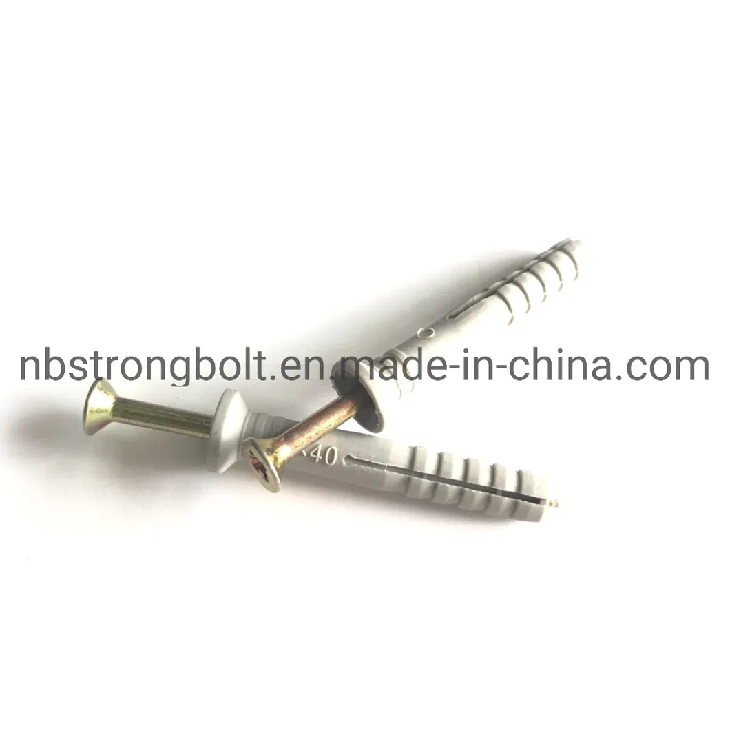 Nylon Hammer Drive Fixing Anchor with Pozi Nail