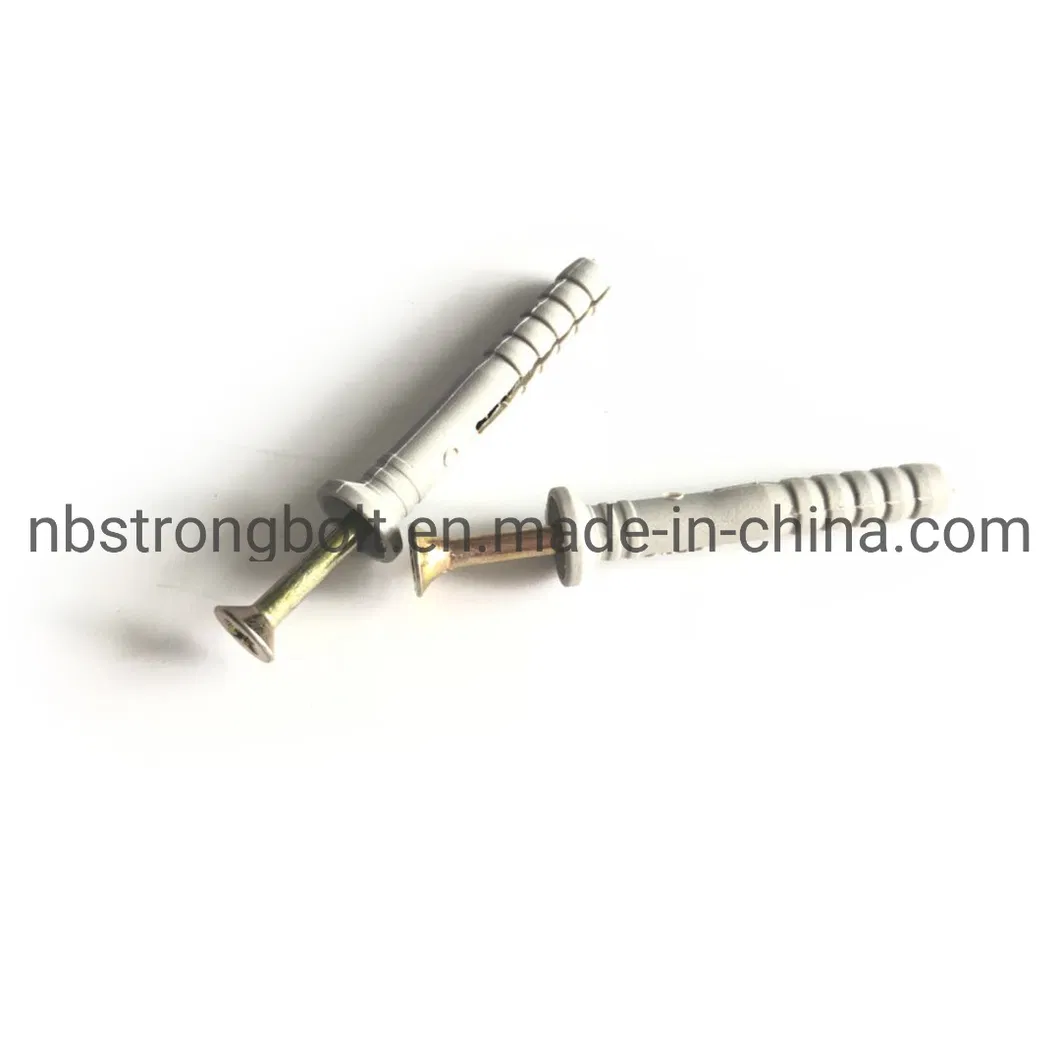 Nylon Hammer Drive Fixing Anchor with Pozi Nail