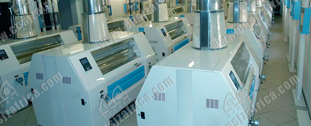 Oats Flour Mill (40 -- 2400 T/ 24H)