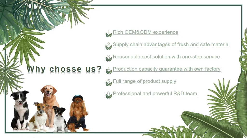 OEM/ODM Organic Body Toughness Customized Package Drying Pet Snacks Beef Brc