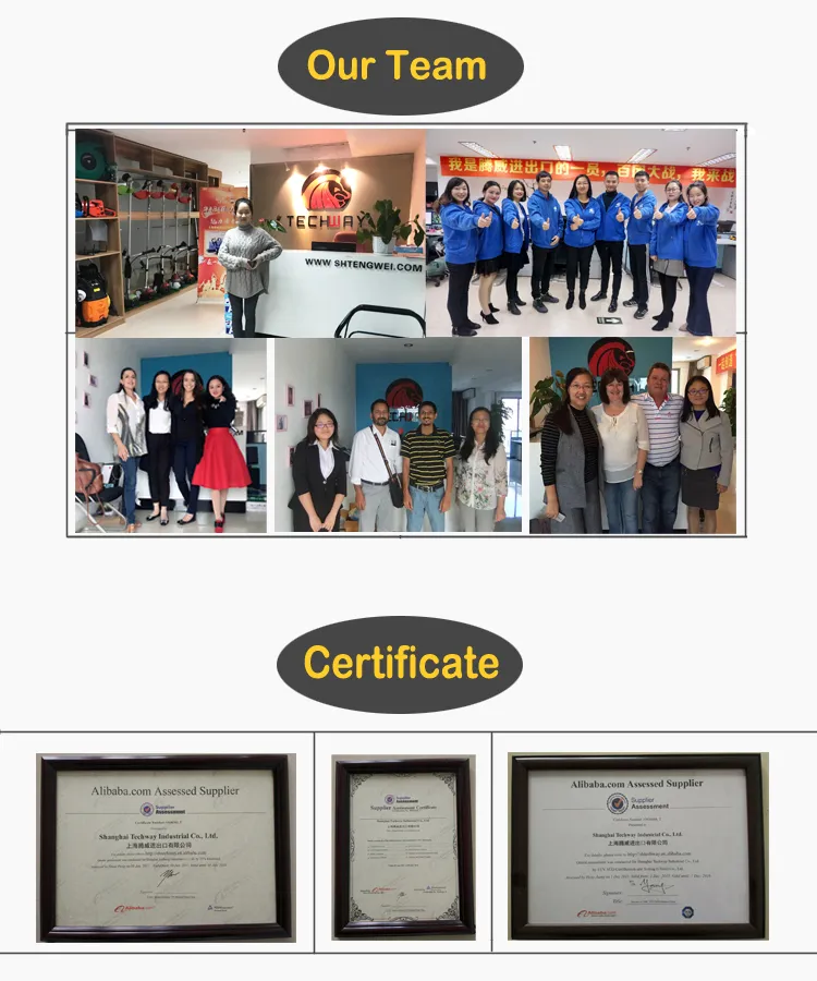 Petrol Grassing Cutting Machine Gardening Machine Tools with EPA Certficate