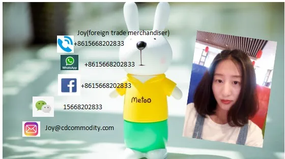 Popular Low Price 20FT 40FT Container Chassis Skeleton Semi Trailer Price