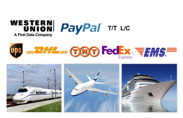 Powder Pigments Price Rutile Type Titanium Dioxide for Paints&Coatings