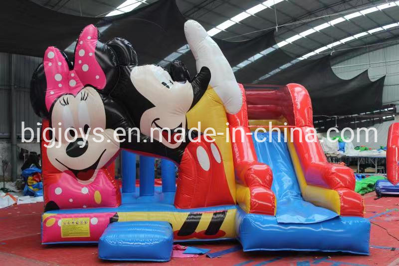 Princess Theme Inflatable Bounce Castle Combo for Sale