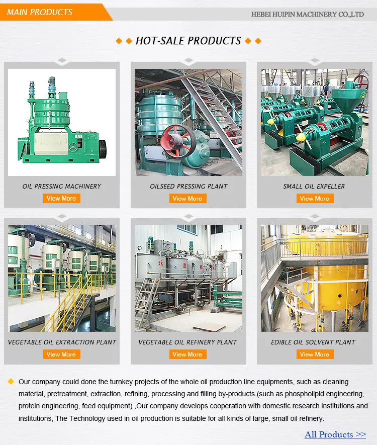 Promotion Commercial Automatic Big Cacao Linseed Oil Press Machine