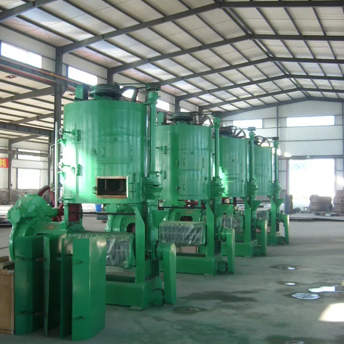 Promotion Commercial Automatic Big Cacao Linseed Oil Press Machine