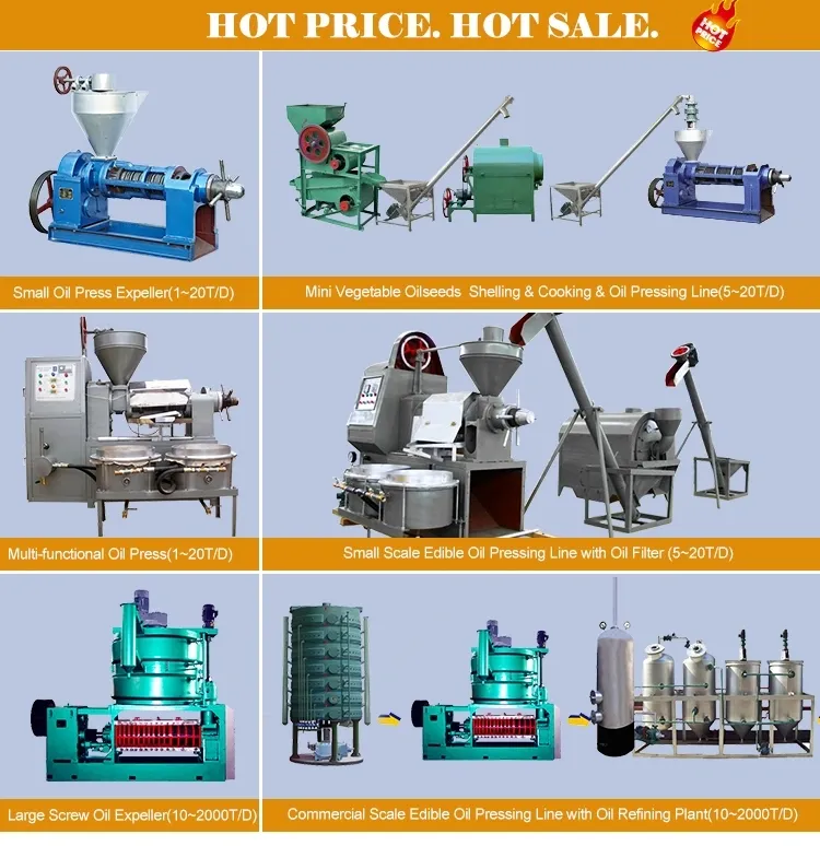 Promotion Commercial Automatic Big Cacao Linseed Oil Press Machine