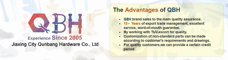 Qbh Customized Zinc Plated HDG Black Plain Zp Yzp Heat Treatment Dacromet Geomet Carbon/Stainless Steel Hex Head Washer Self Drilling Screw Roofing Fasteners