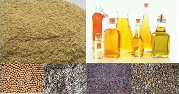 Rice Bran Oil Mill Plant Rice Bran Oil Production Line Machinery Make Rice Bran Oil Making Machine