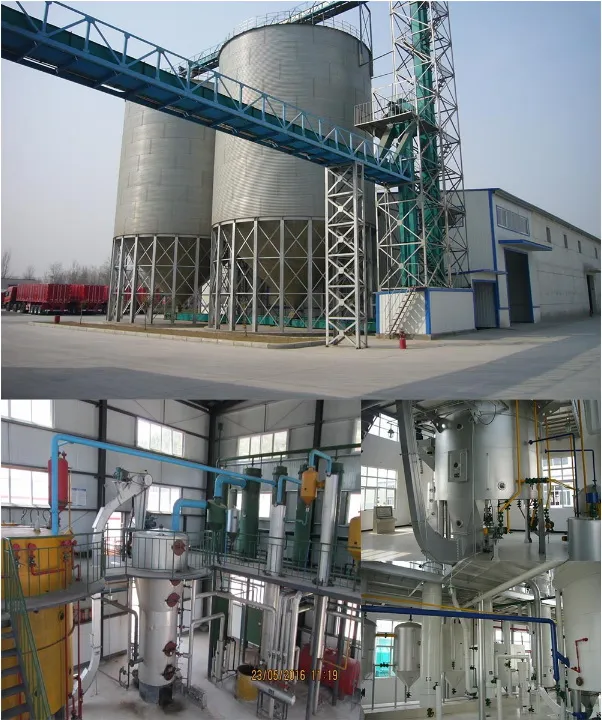 Rice Bran Oil Mill Plant Rice Bran Oil Production Line Machinery Make Rice Bran Oil Making Machine
