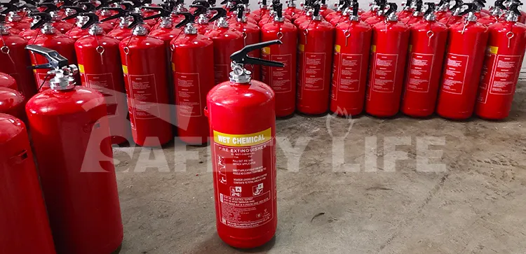 Safety Life Foam Afff Water Mist Fire Extinguisher 6L 9L