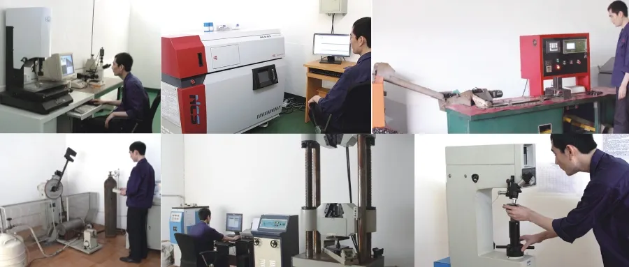 SS304 SS316 DIN6921 M8-M24 Flanged Hexagon Head Bolts Screw Fastener