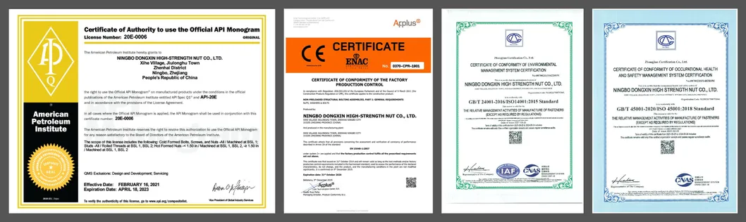 SS304 SS316 DIN6921 M8-M24 Flanged Hexagon Head Bolts Screw Fastener