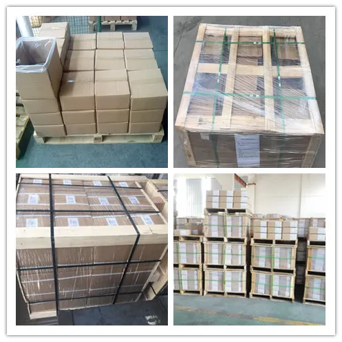 SS304 SS316 M6 M8 DIN318 Stainless Steel Wing Screws with Edged Wings