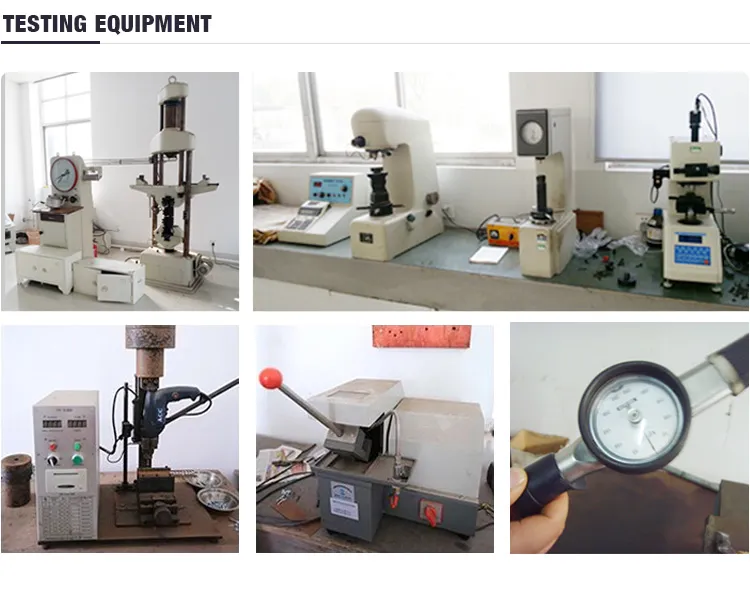 St4.2*16 SS304 Slotted Oval Head Self Tapping Screw