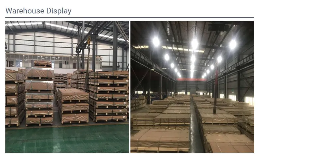 Uns C10100 99.99 Oxygen Free 5ppm Copper Plate/Sheet