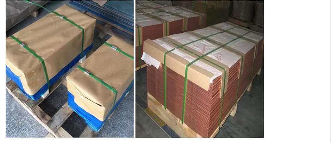 Uns C10100 99.99 Oxygen Free 5ppm Copper Plate/Sheet