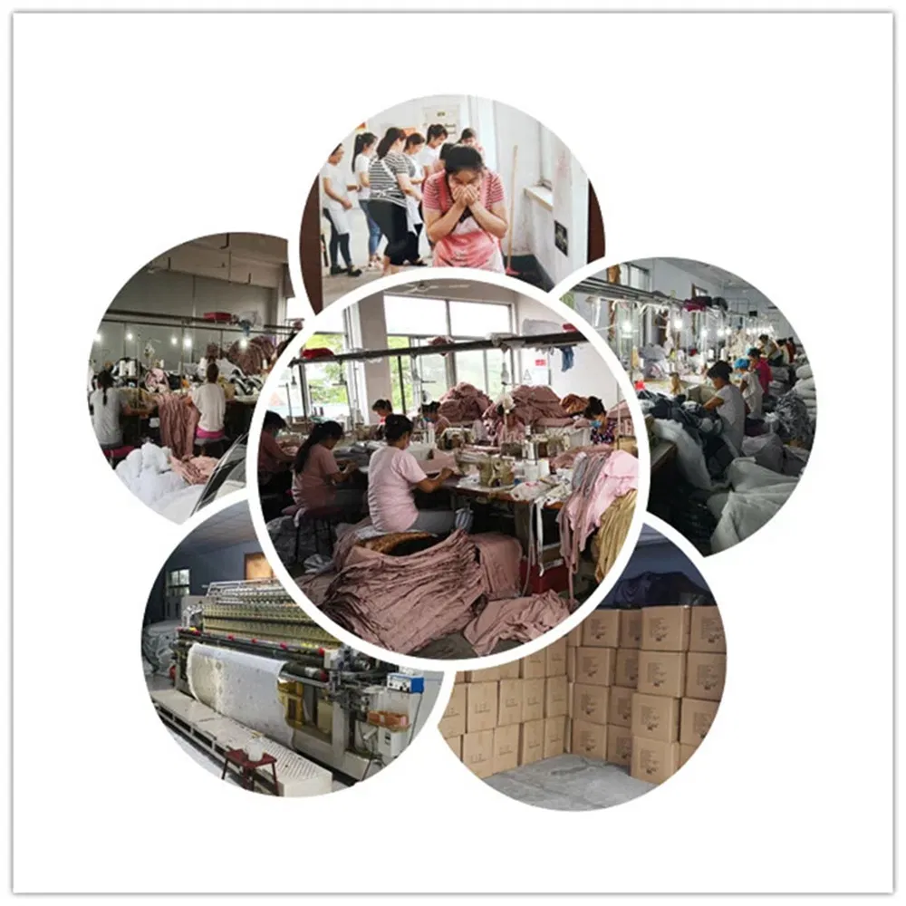 Washable Customized Sofa Cover Elastic Slipcover