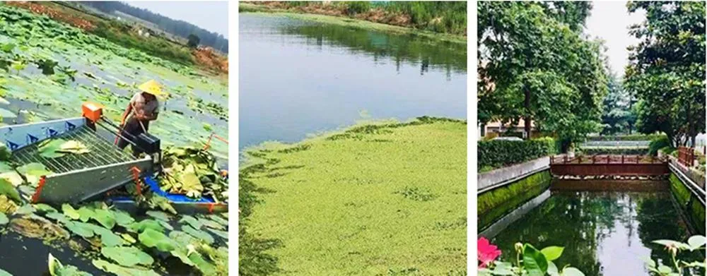 Water Weed Harvester with High Quality and Efficiency for Pond Mowing/Harvesting/Cleaning