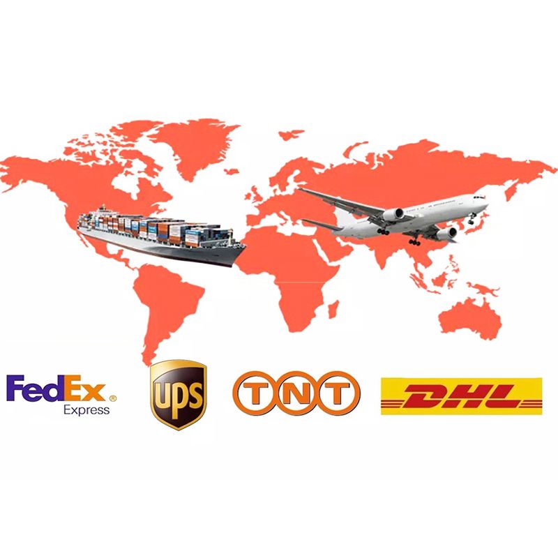 Zoomlion Bull Dozer O Ring 07000-62115 for Zoomlion Bulldozer Zd320-3